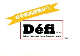 Defi vol.6 mini logo